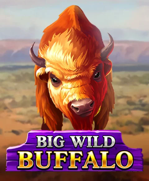 Play Big Wild Buffalo at 10 Bet Casino